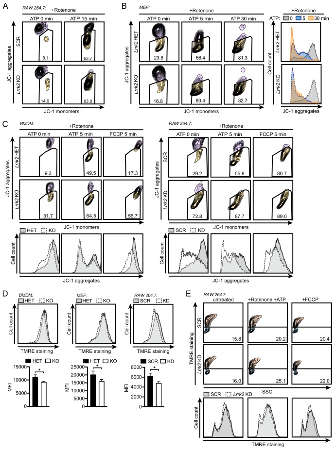 Figure 5—figure supplement 1.