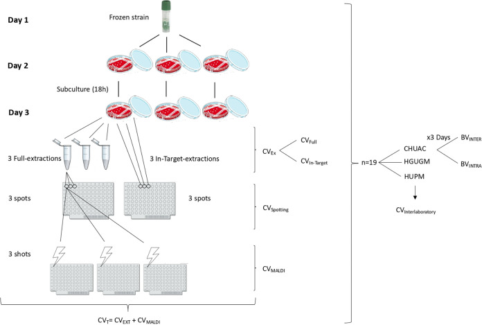 FIG 2