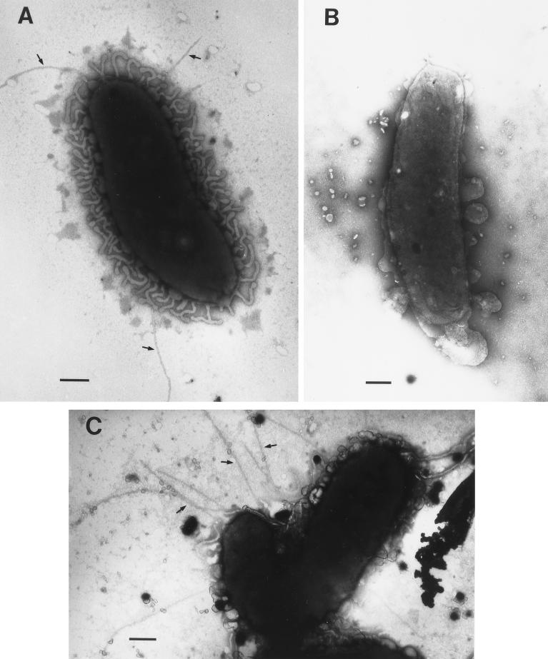 FIG. 6