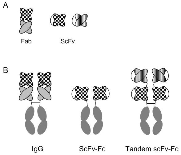 Fig. 2.