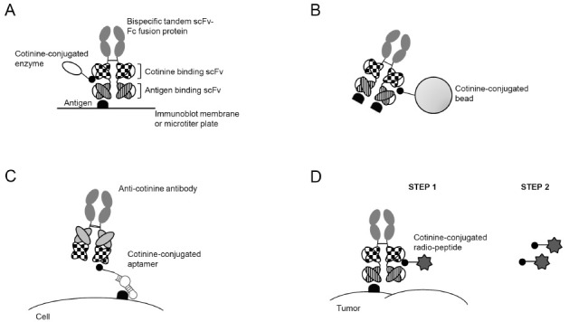 Fig. 3.