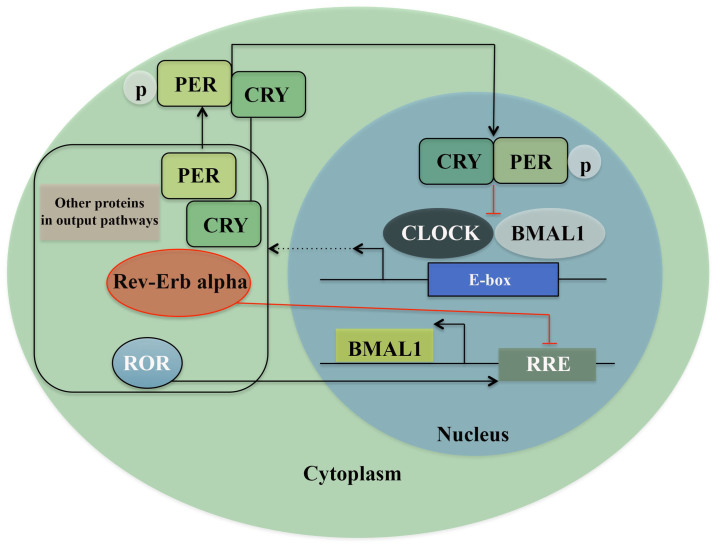 Figure 1.