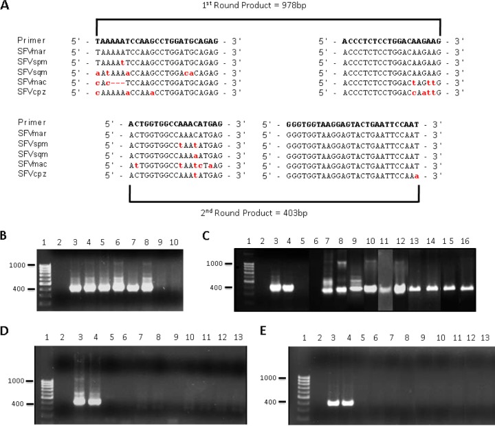 FIG 2