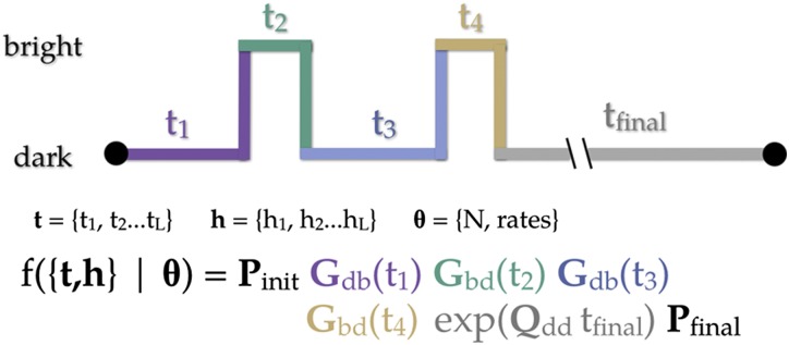 Fig. 10.