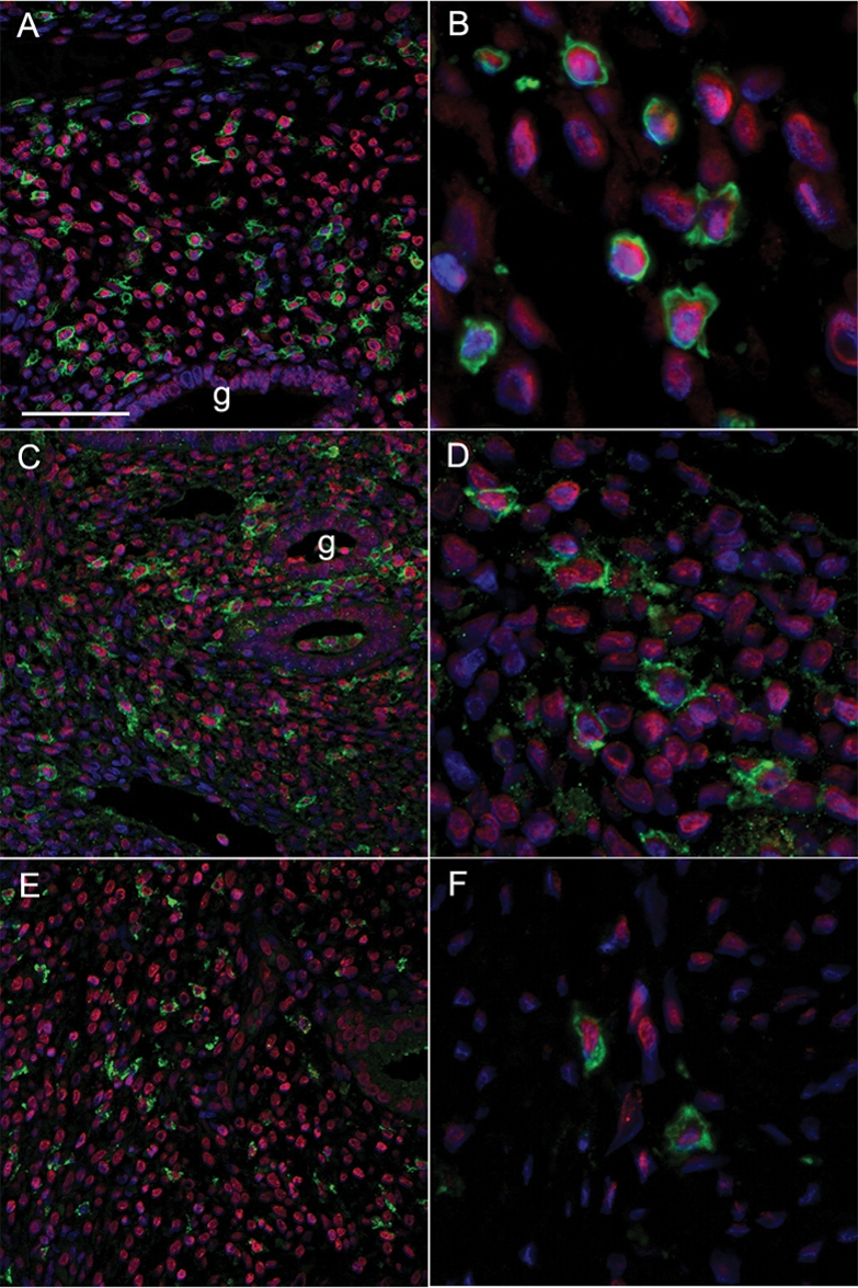 Figure 6: