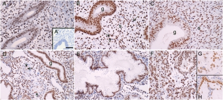 Figure 3: