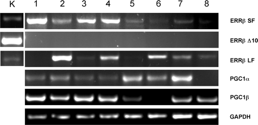 Figure 2: