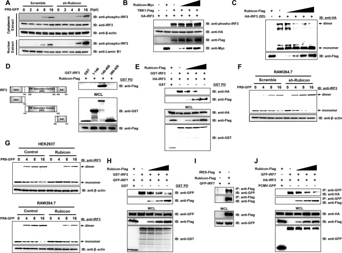 FIG 6