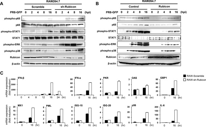 FIG 3