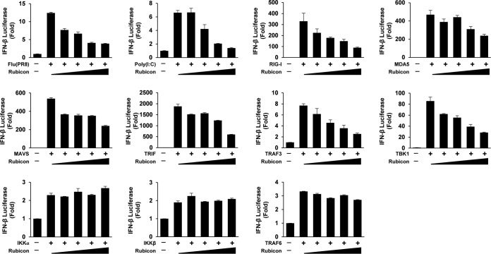 FIG 4