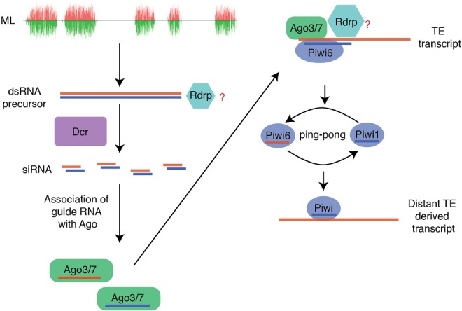 FIGURE 4.