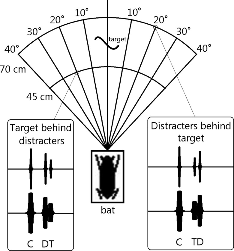 FIG. 1.