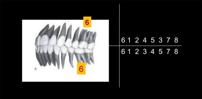 Fig. 2