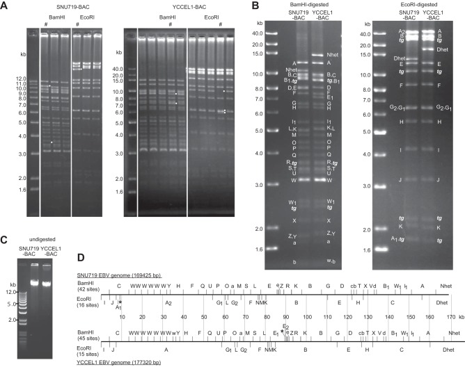 FIG 2