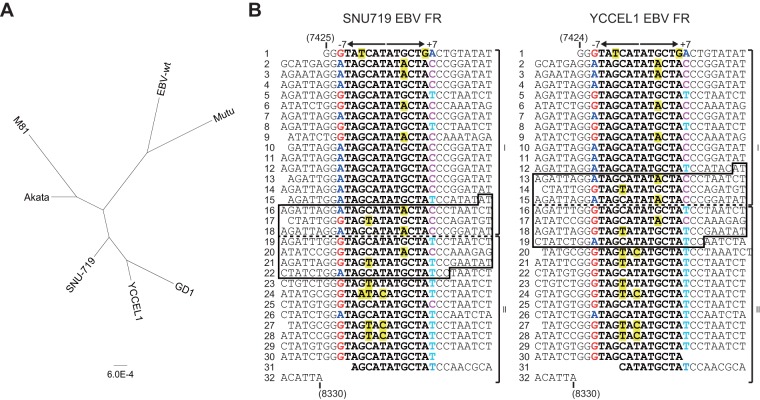 FIG 3