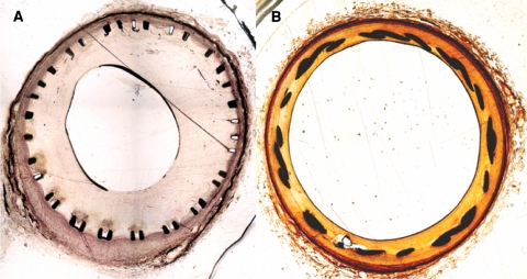 Fig. 5