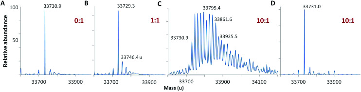 Fig. 2