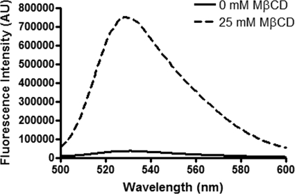 FIGURE 4.