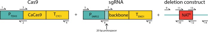 FIG 1 