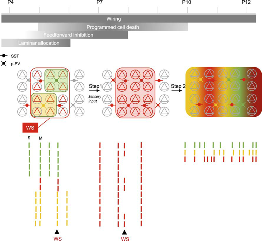 Figure 6.