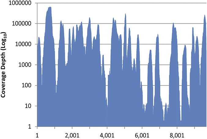 FIGURE 1.