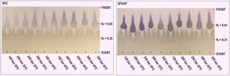 Figure 5