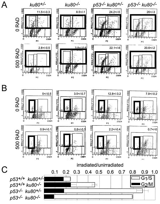 FIG. 5