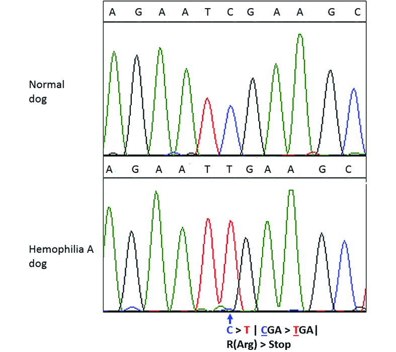 Figure 2.