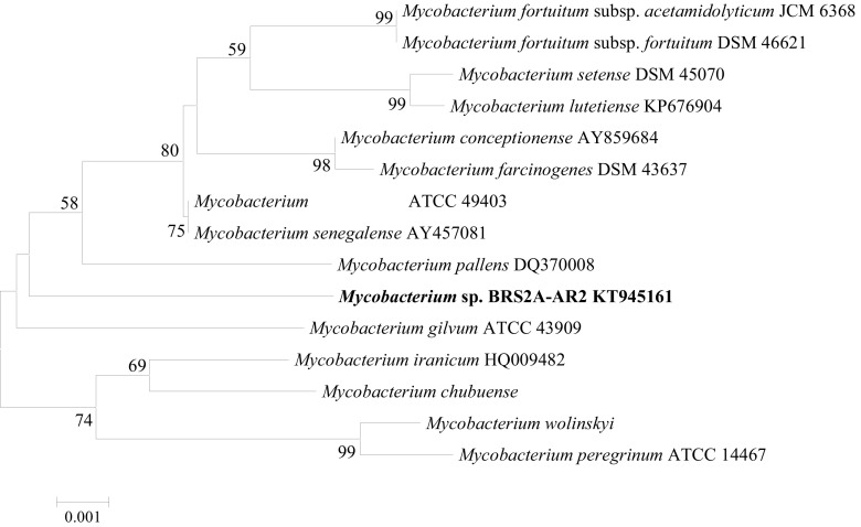 Fig. 2