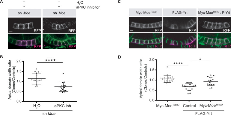 Figure 6.