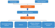 graphic file with name MCO2-3-e161-g005.jpg