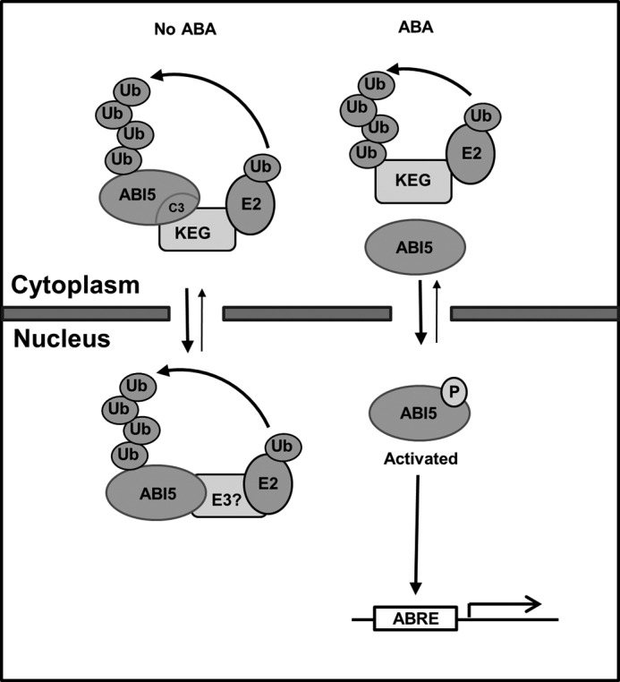 FIGURE 9.