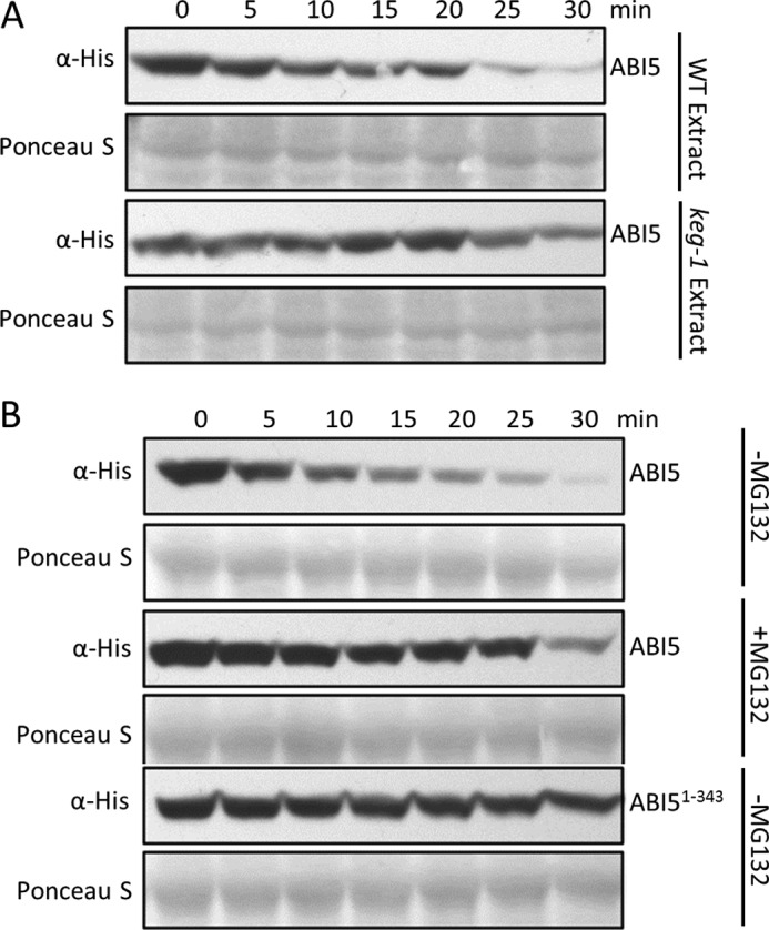 FIGURE 4.