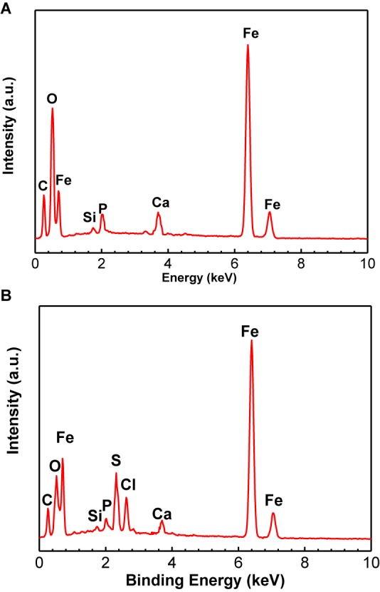 FIGURE 3