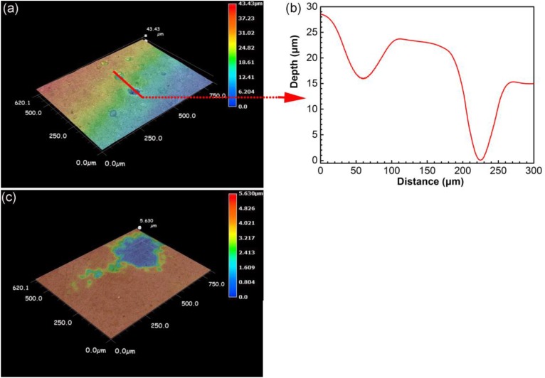 FIGURE 6