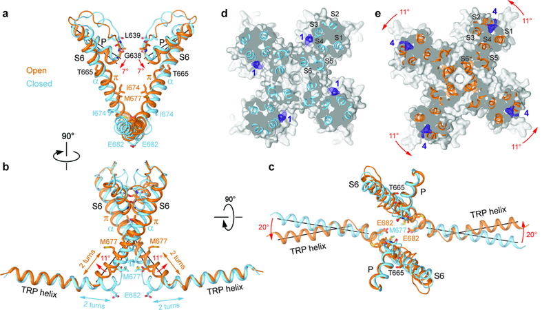 Figure 5: