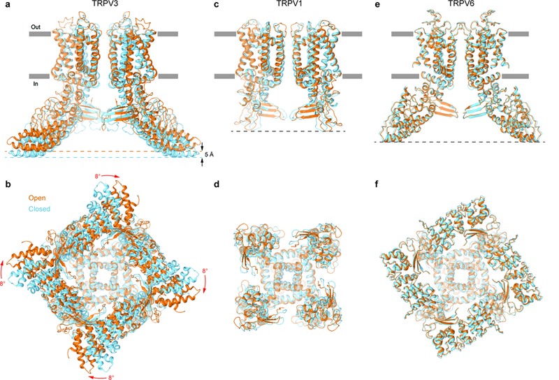 Figure 6: