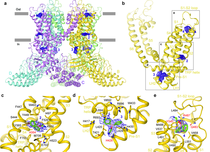 Figure 3: