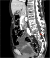 Fig. 2