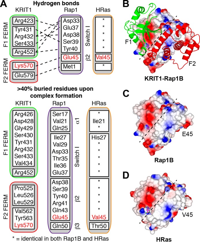 FIGURE 4.