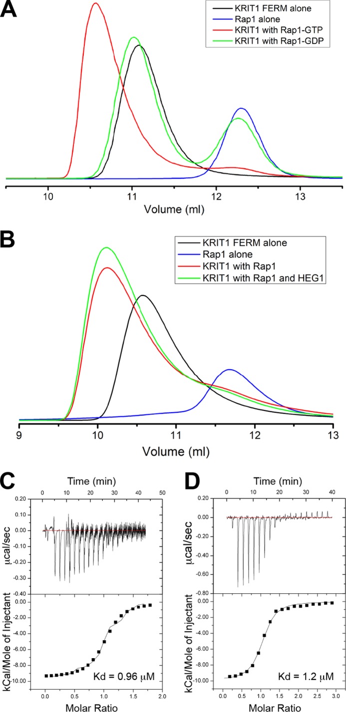 FIGURE 1.