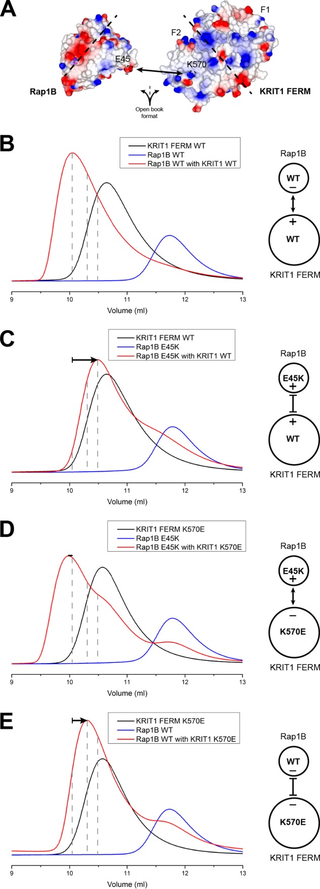 FIGURE 7.