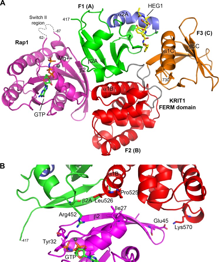 FIGURE 2.