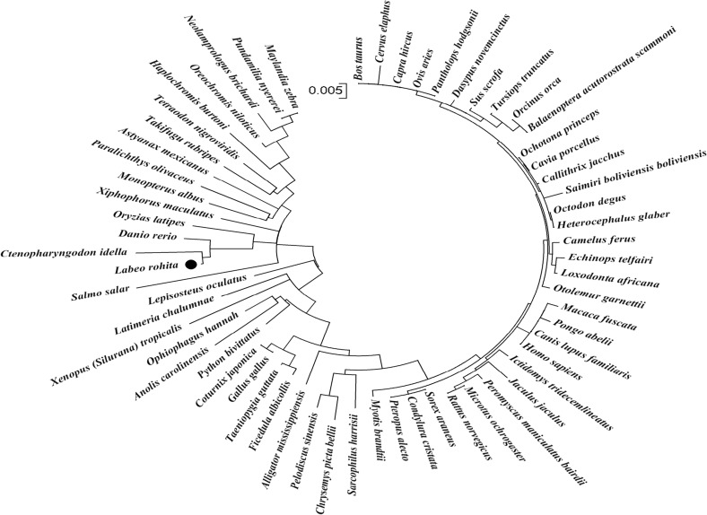 Fig. 10