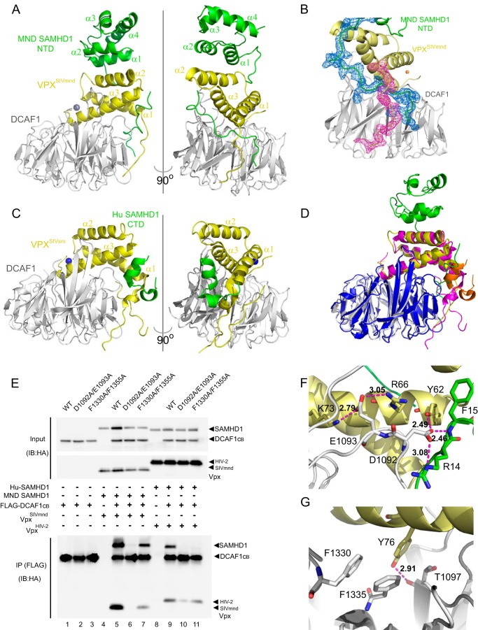 FIGURE 3.