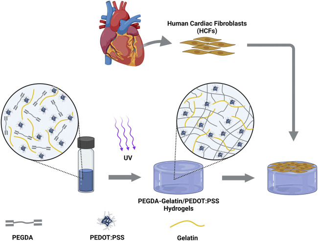 graphic file with name FBIOE_fbioe-2022-897575_wc_abs.jpg