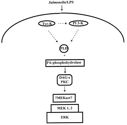 FIG. 7