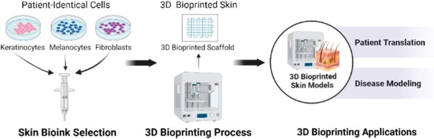 graphic file with name rbad060f5.jpg