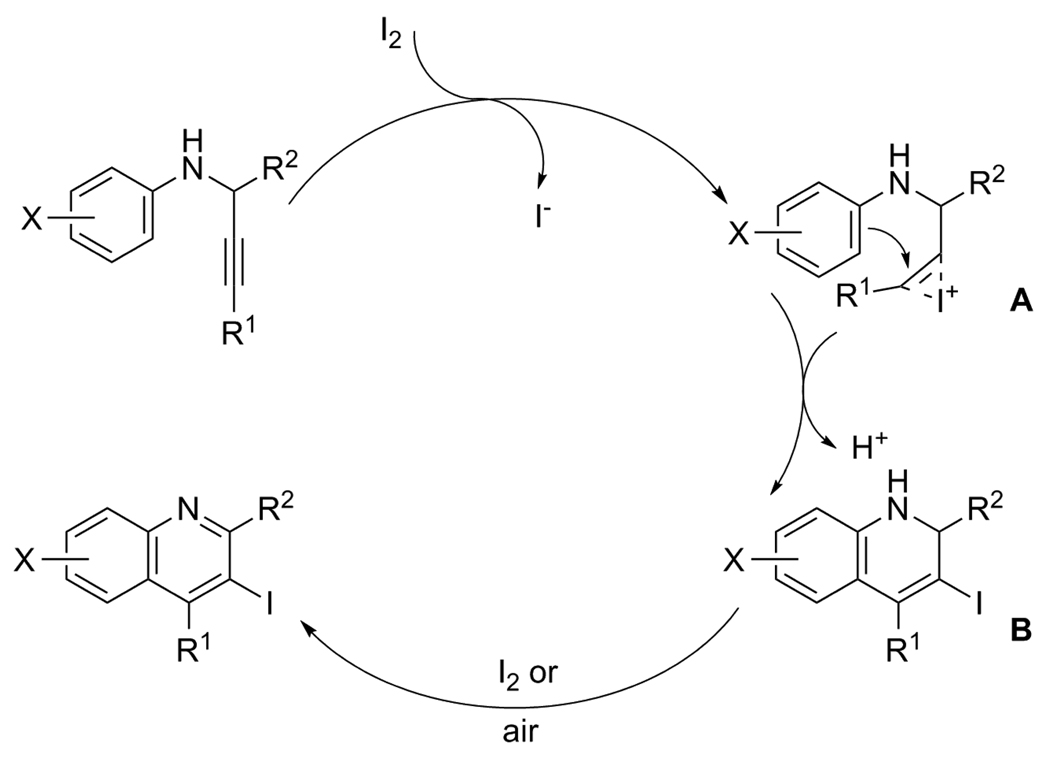 Scheme 5