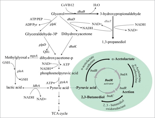 Figure 1.